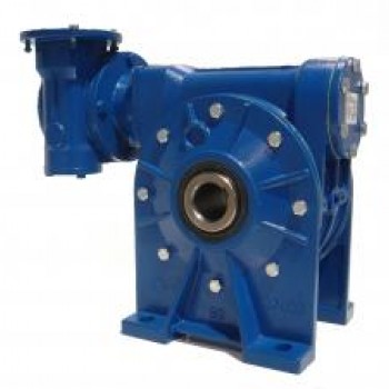 Reduktorius CRMI 110/150